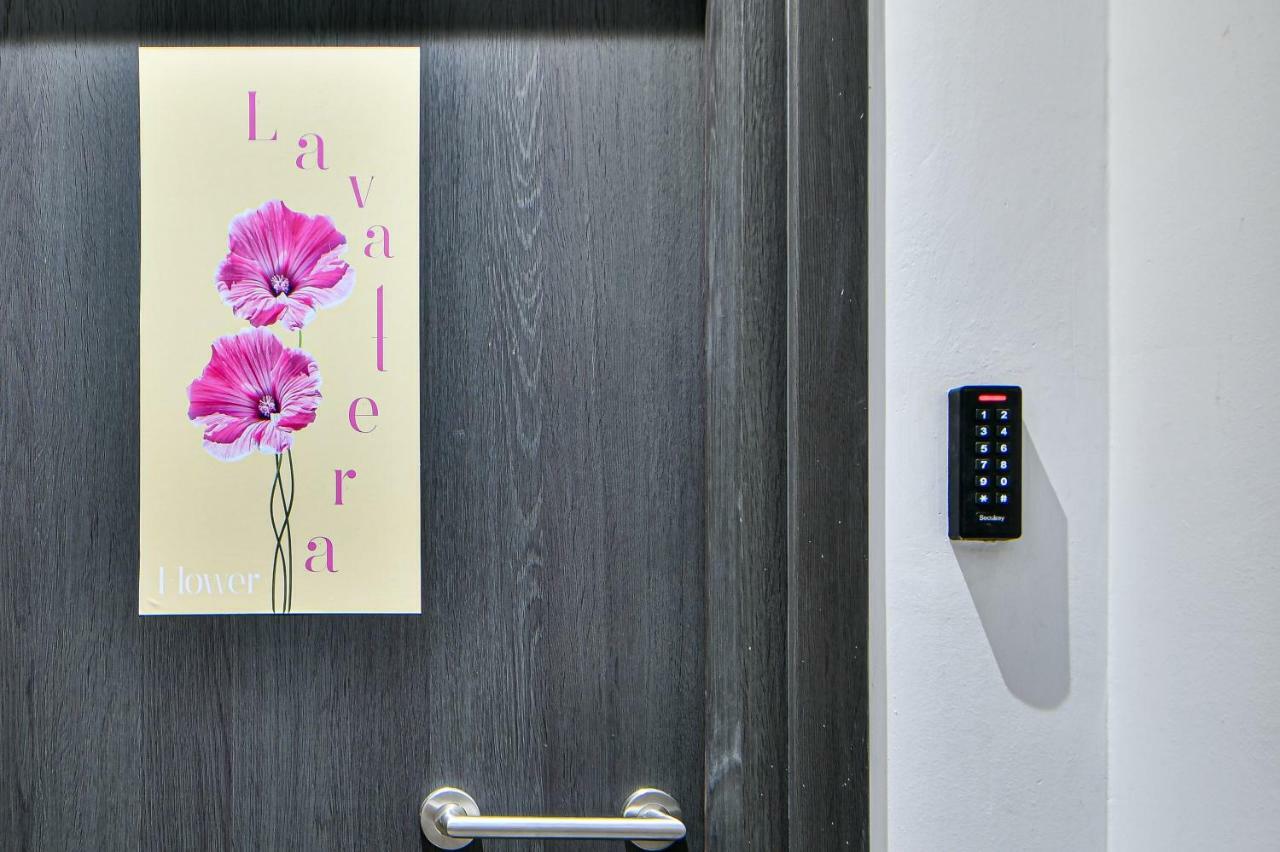 Flowers Of Athens, Boutique Aparthotel With 6-Apartments In Central 雅典 外观 照片
