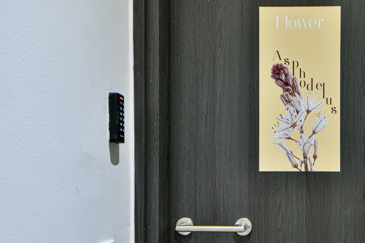 Flowers Of Athens, Boutique Aparthotel With 6-Apartments In Central 雅典 外观 照片
