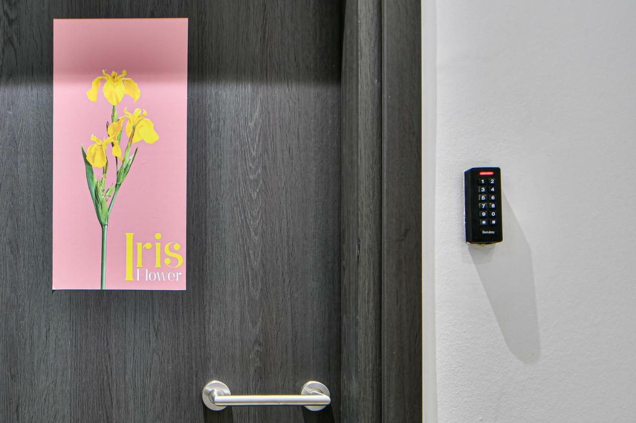 Flowers Of Athens, Boutique Aparthotel With 6-Apartments In Central 雅典 外观 照片