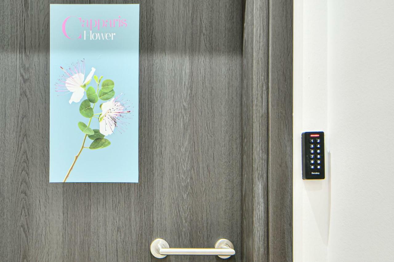 Flowers Of Athens, Boutique Aparthotel With 6-Apartments In Central 雅典 外观 照片
